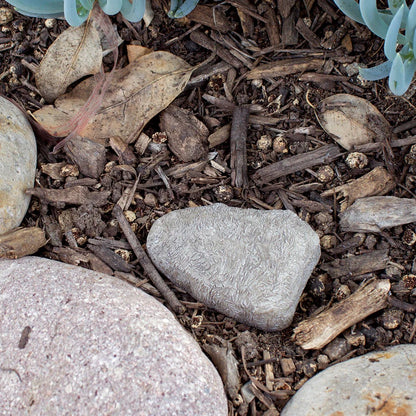 Lucky Line faux rock key hider shown amongst other rocks in a garden