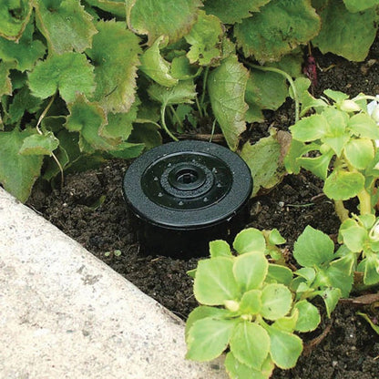 Lucky Line sprinkler head key hider shown embedded in soil amongst plants in garden
